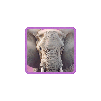 safari wilds symbol elephant